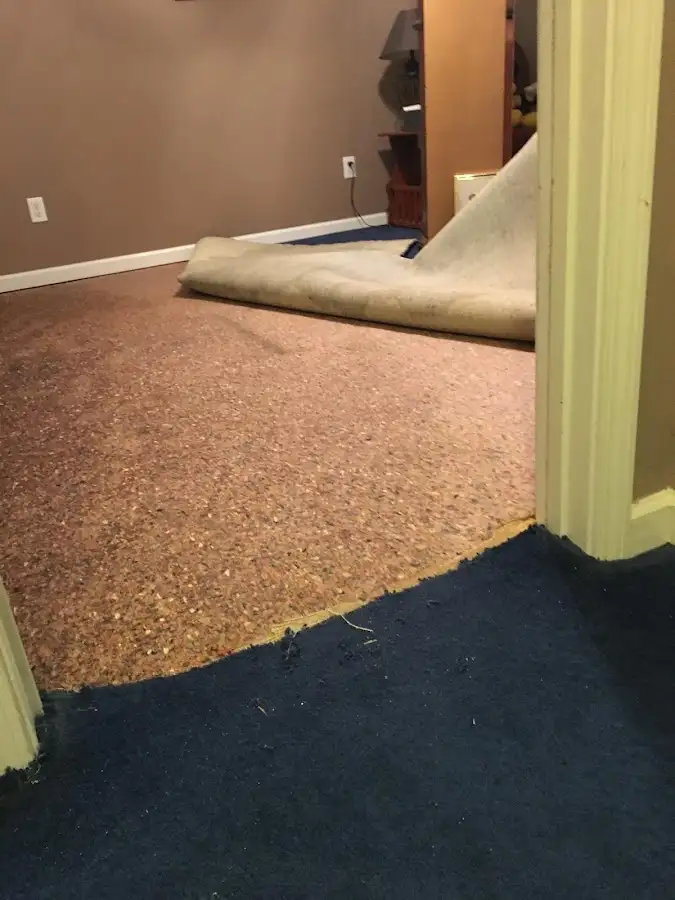 Carpet pad removal revealing water damage during Water Mitigation Services in Applewood