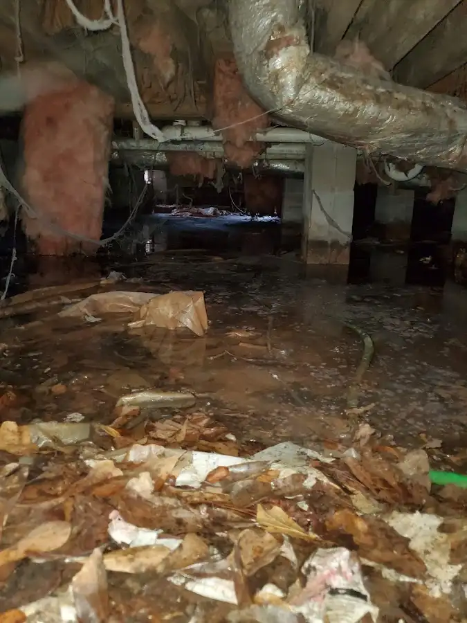 Crawl space flood assessment for Leak Detection & Repair in Applewood