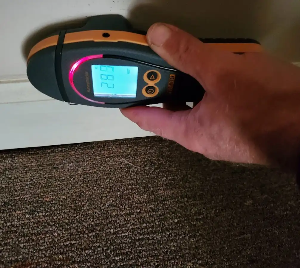 Moisture detection at baseboard during Sewage Cleanup & Sanitation in Applewood